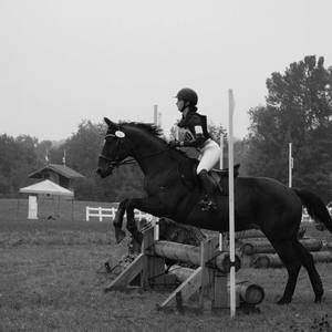 Meet your Posher, Suzi